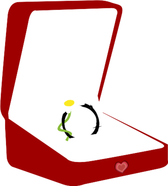 Églises, défendons le mariage